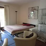Residenz Degli Angioli Apartamento Ascona